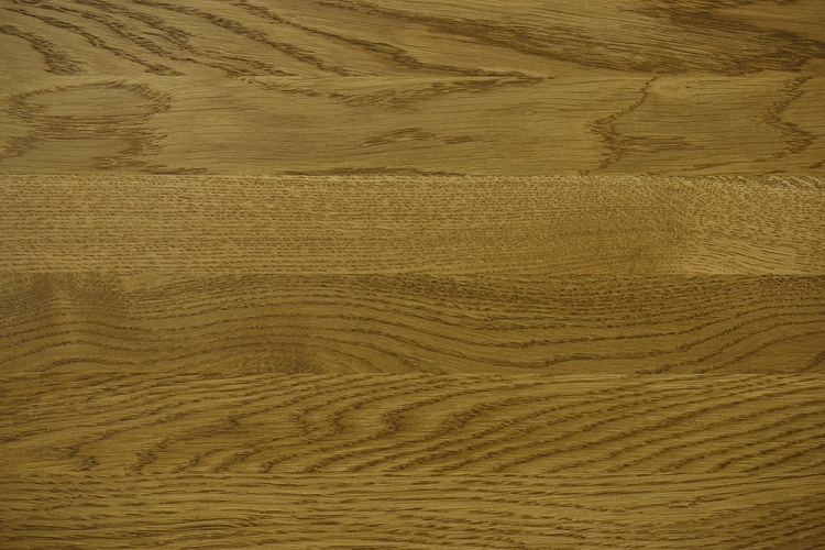 DAB MIODOWY 22-10.jpg