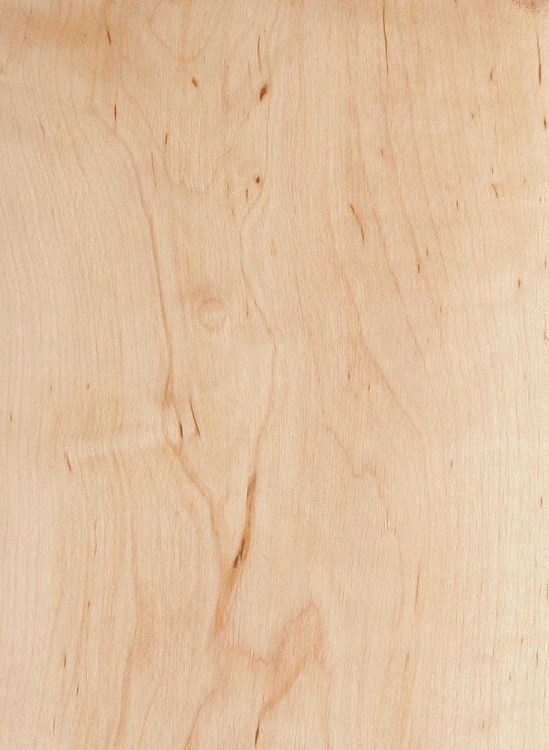 olcha naturalna ekodom.jpg