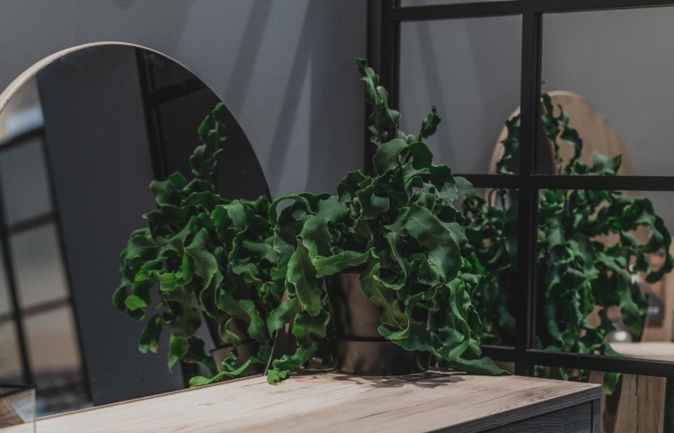 Toaletka GlassLoft GLTOL – lustro zawieszane na ścianę, regulowane